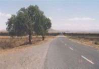 to_bloemfontein_2.jpg (3012 Byte)